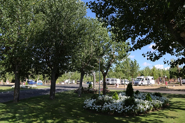 /campings/espana/castilla-y-leon/salamanca/Regio/201907-camping-regio-22.jpg