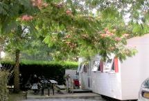 Mobil Homes Mansion