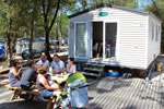 Chalets Cosy