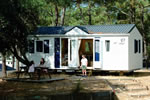 Chalets Savanah