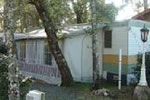 Chalets Grand Willerby 4