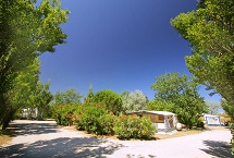 Parcelas camping Standard