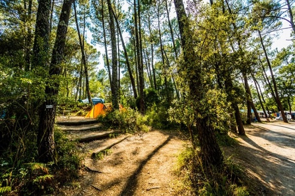 /campings/francia/languedoc-rosellon/gard/LaSousta/camping-sousta-1550481552-xl.jpg
