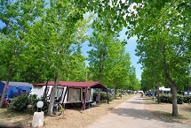 Parcelas camping Standard