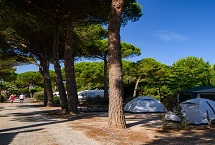 Parcelas camping Standard