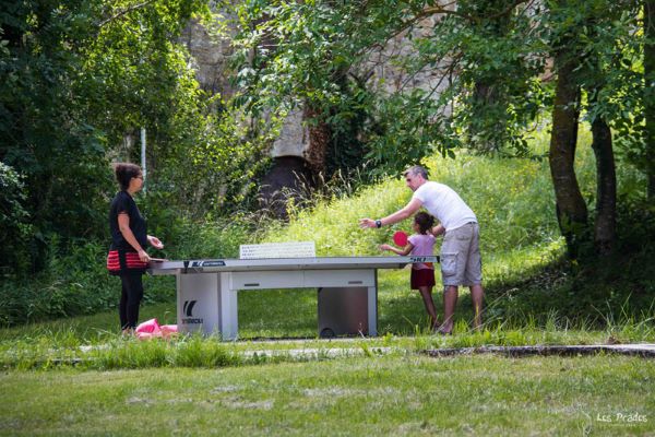 /campings/francia/midi-pirineos/aveyron/LesPrades/camping-les-prades-activites-tennis-table.jpg
