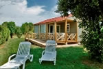 Bungalow en madera Topaze
