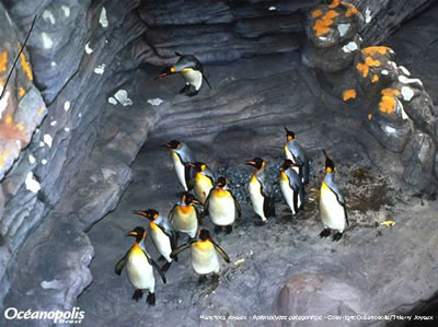 Oceanópolis en Brest, un gran acuario y parque…