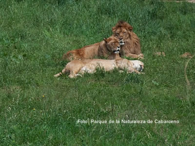 Parque de la Naturaleza de Cabárceno