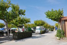 Parcelas camping Standard